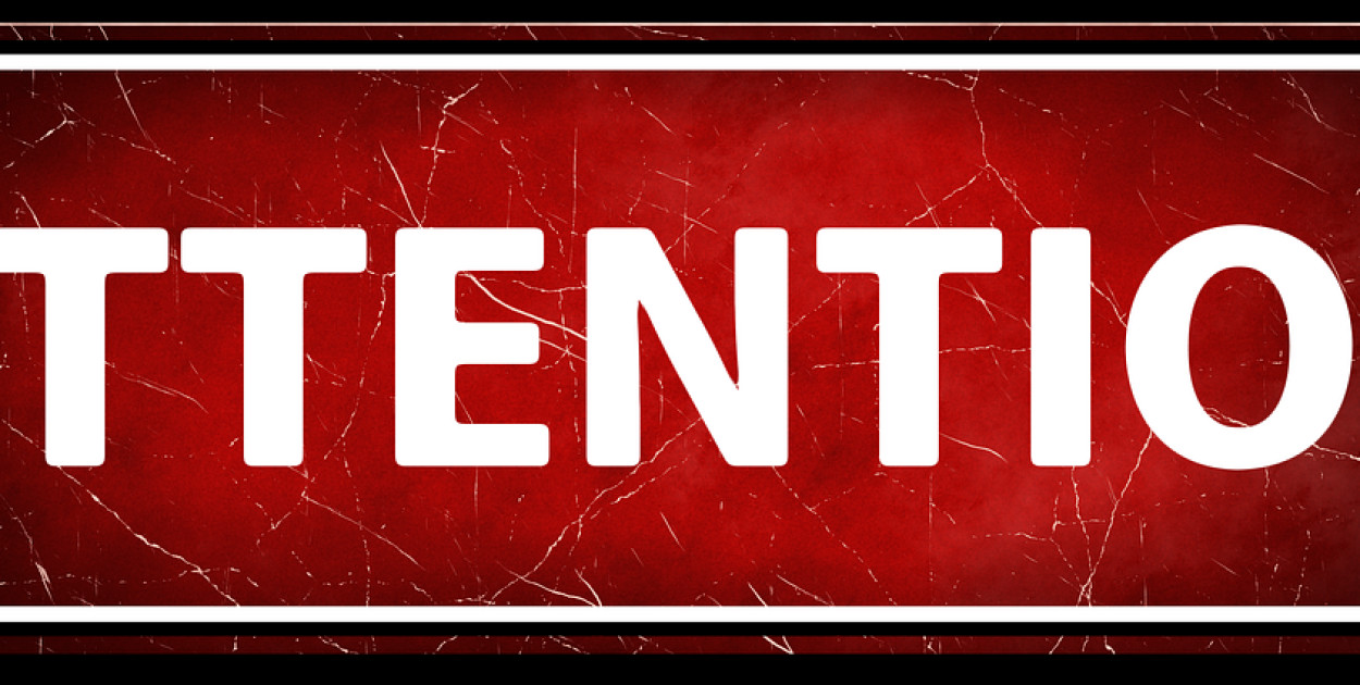 Służby ostrzegają przed algami 