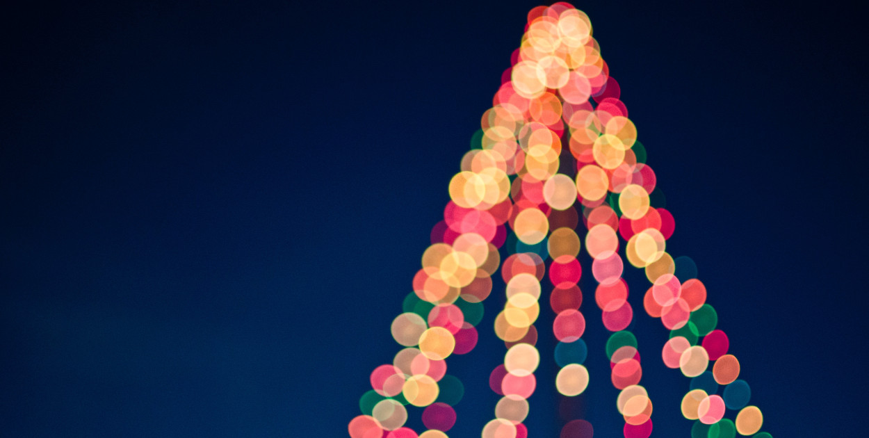 W IJsselstein znowu zaświeciła się największa choinka