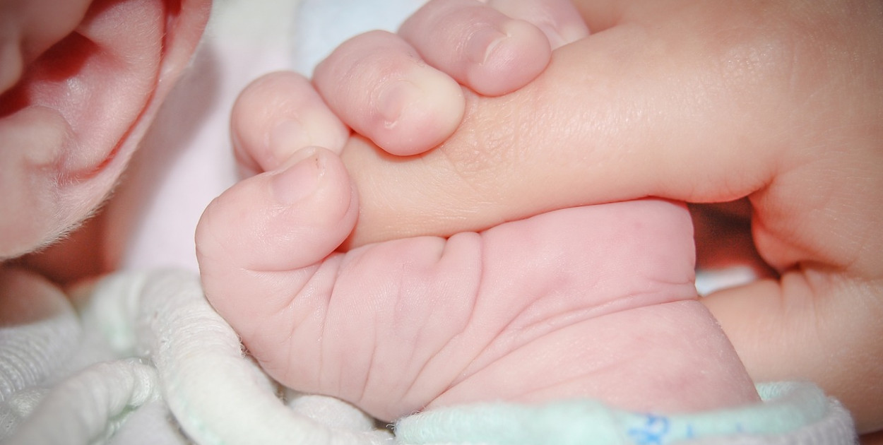 "800 Plus" w 2024. Ruszyło składanie wniosków. To musisz wiedzieć 