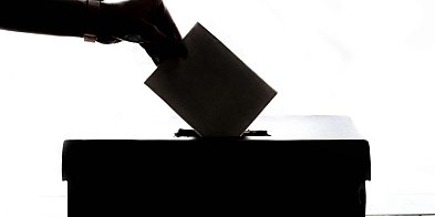 Wybory do Parlamentu Europejskiego 2024. Jak zagłosować w Holandii?-42920