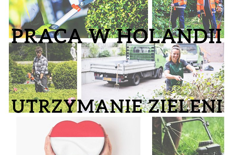 zdjecie ogloszenia