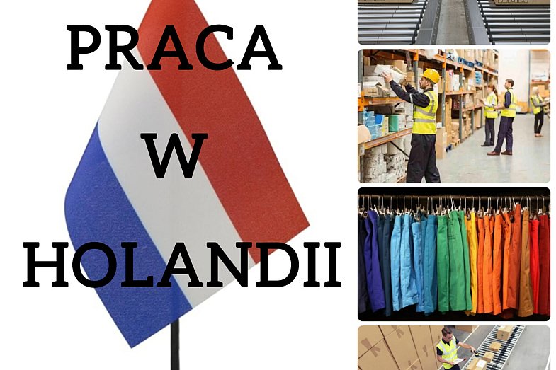 zdjecie ogloszenia