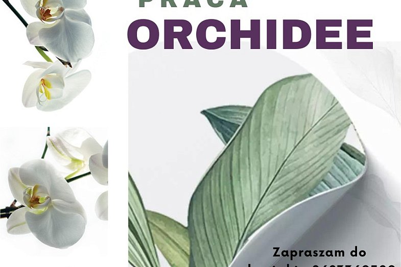 zdjecie ogloszenia