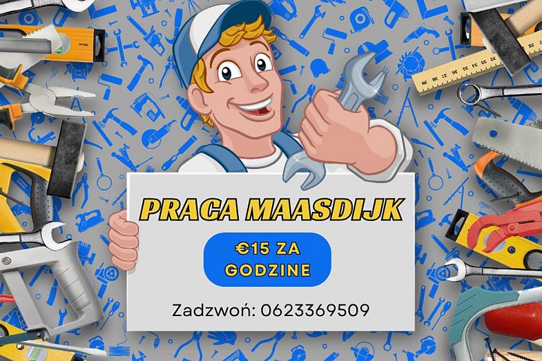 zdjecie ogloszenia