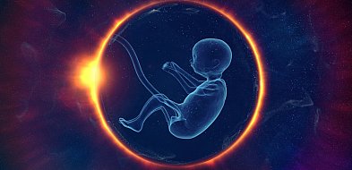 Hodowanie embrionów do celów badań naukowych-53694