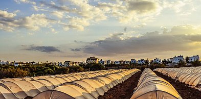 Połowa pracowników tymczasowych pochodzi spoza Holandii