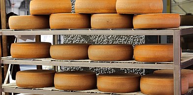 Holenderski ser najlepszy na świecie