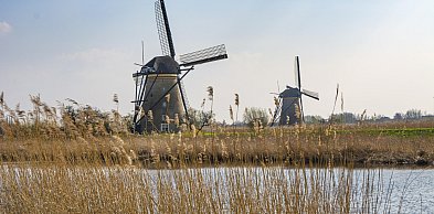 Powrót wiosennej aury