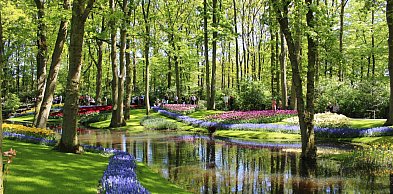 Otwarcie sezonu w Keukenhof