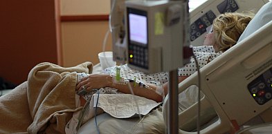 Liczba eutanazji wzrosła