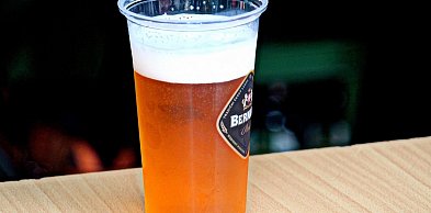 Festiwale korzystają z plastikowych kubków