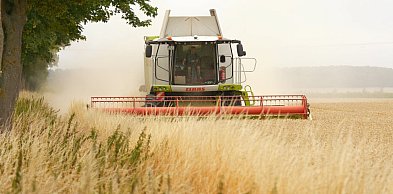 Rolnictwo ekologiczne rośnie, ale wciąż daleko do celu