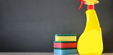 9 na 10 holenderskich rodzin łamie prawo