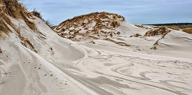 Nowy park narodowy w Holandii