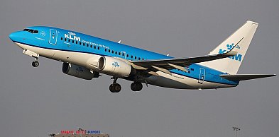 Stewardesa KLM w izolacji po kontakcie z hantawirusem