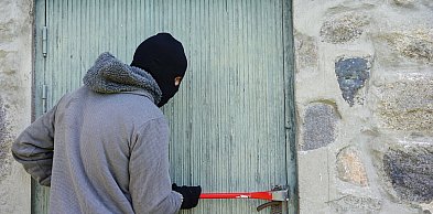 Mniej włamań do firm w Holandii