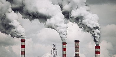 Podatek CO₂ po raz pierwszy przyniósł wpływy do budżetu