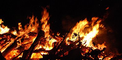 Holandii grozi susza i pożary lasów