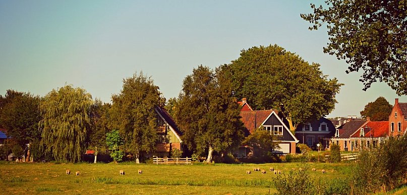 Holendrzy coraz częściej uciekają z dużych miast