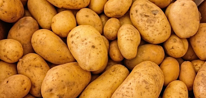 Ceny produktów rolnych mocno spadły
