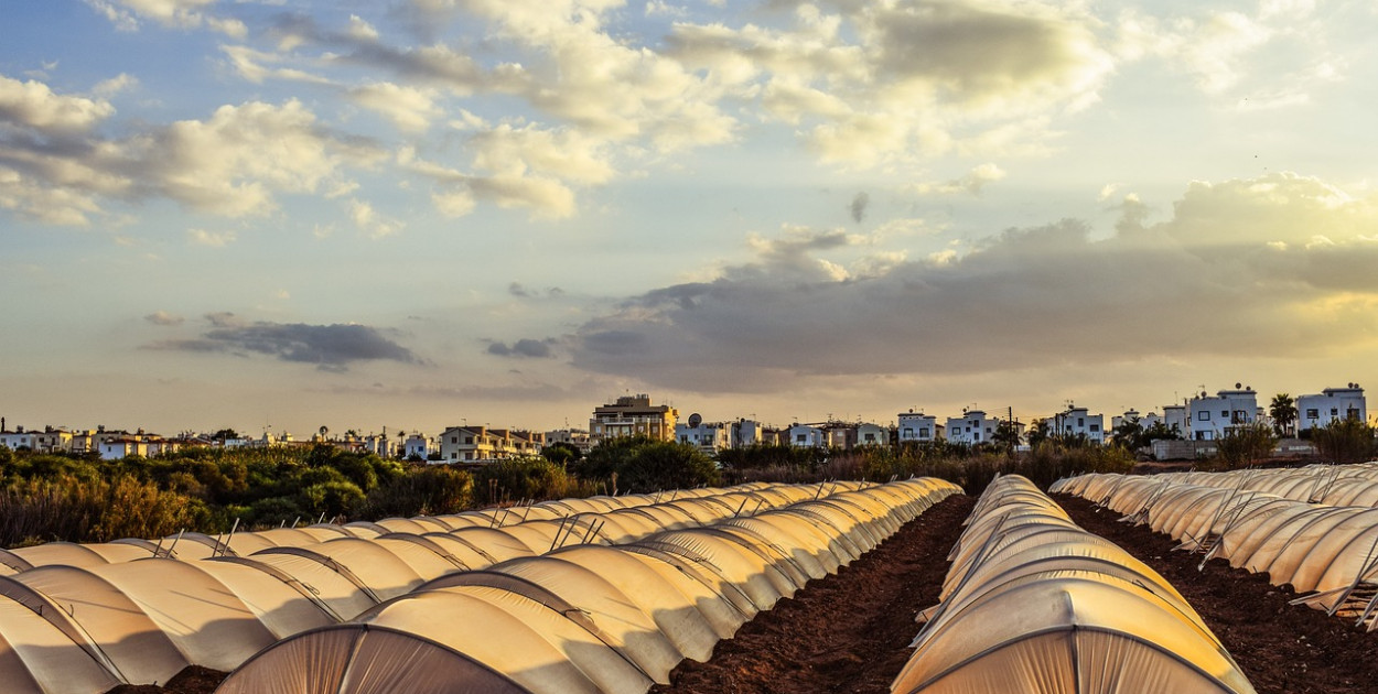 Połowa pracowników tymczasowych pochodzi spoza Holandii