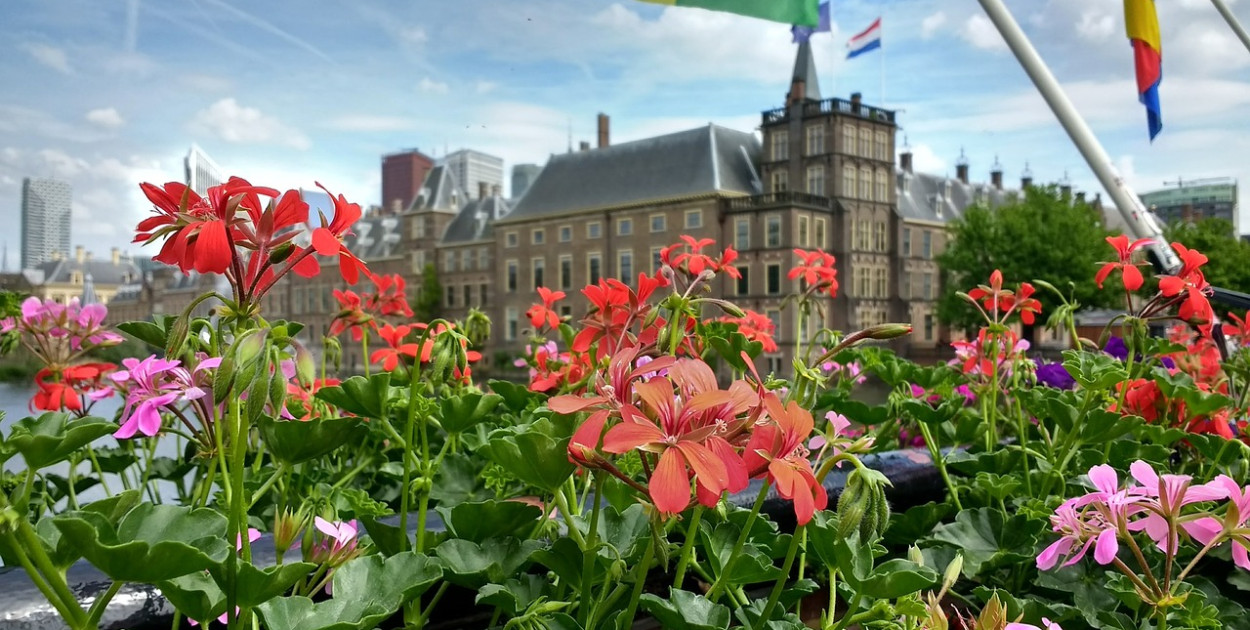 Jetten może zostać najmłodszym premierem w historii