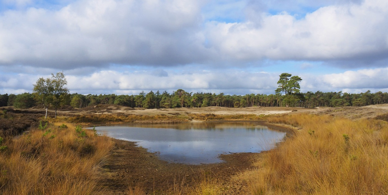Substancje chemiczne obecne w holenderskich wodach