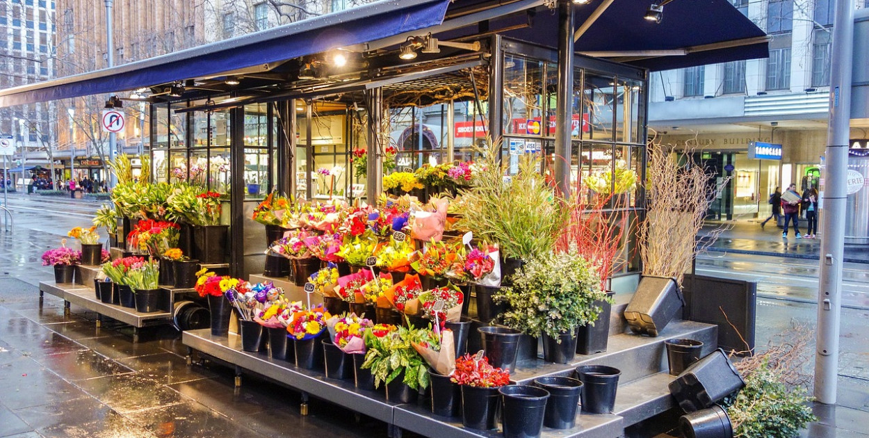 Coraz mniej sklepów z kwiatami i roślinami