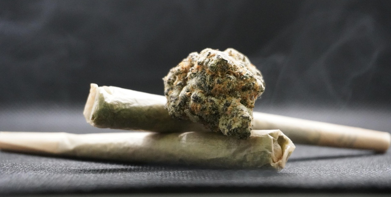 Amsterdam wraca z tematem zakazu konopi dla turystów