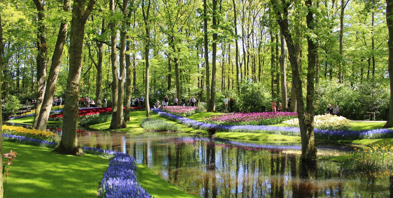 Otwarcie sezonu w Keukenhof
