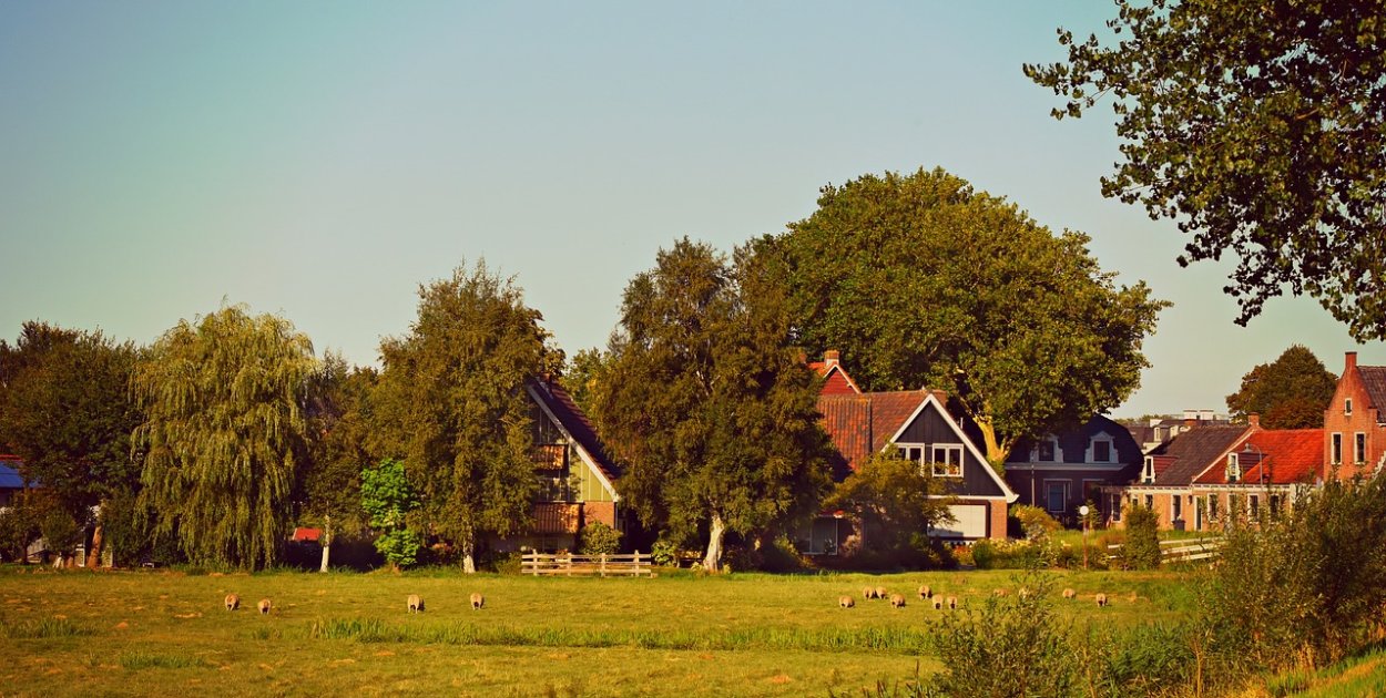 Holendrzy coraz częściej uciekają z dużych miast