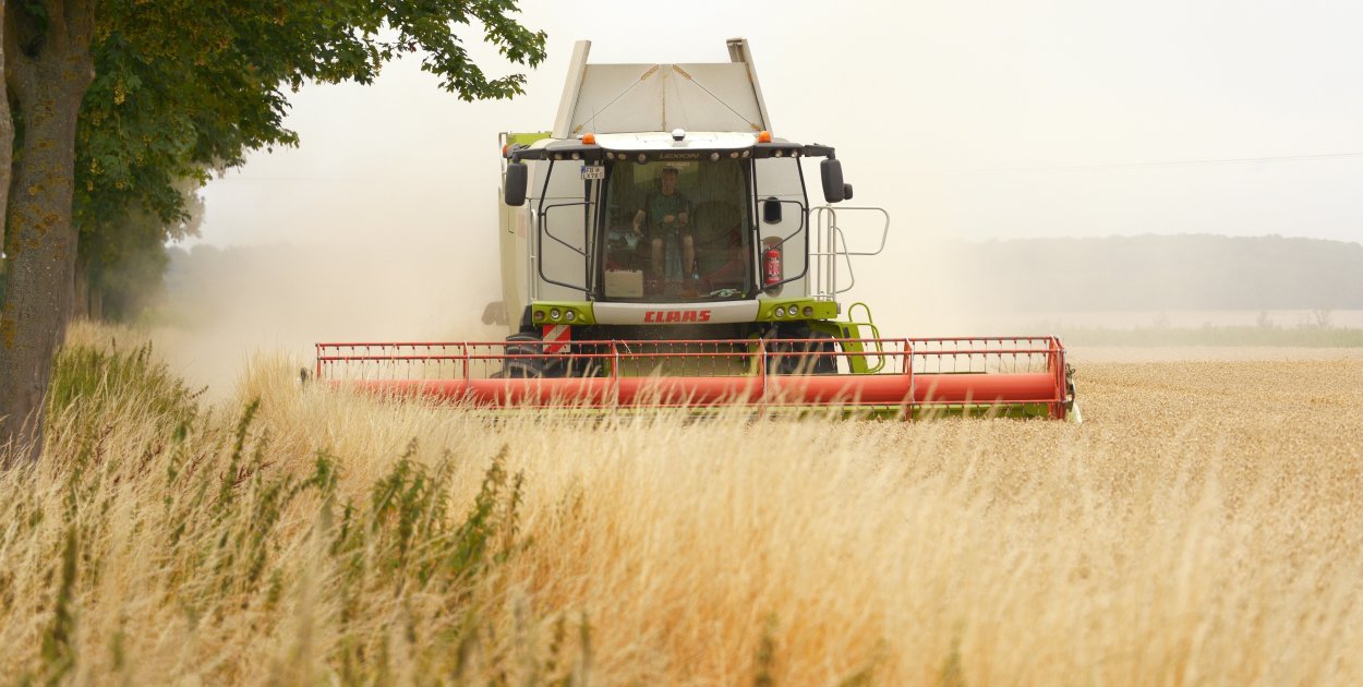 Rolnictwo ekologiczne rośnie, ale wciąż daleko do celu