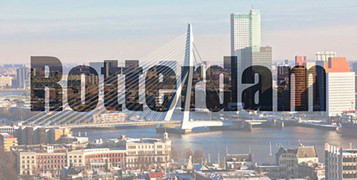 Więcej eksplozji, mniej strzelanin. Niepokojące dane z Rotterdamu